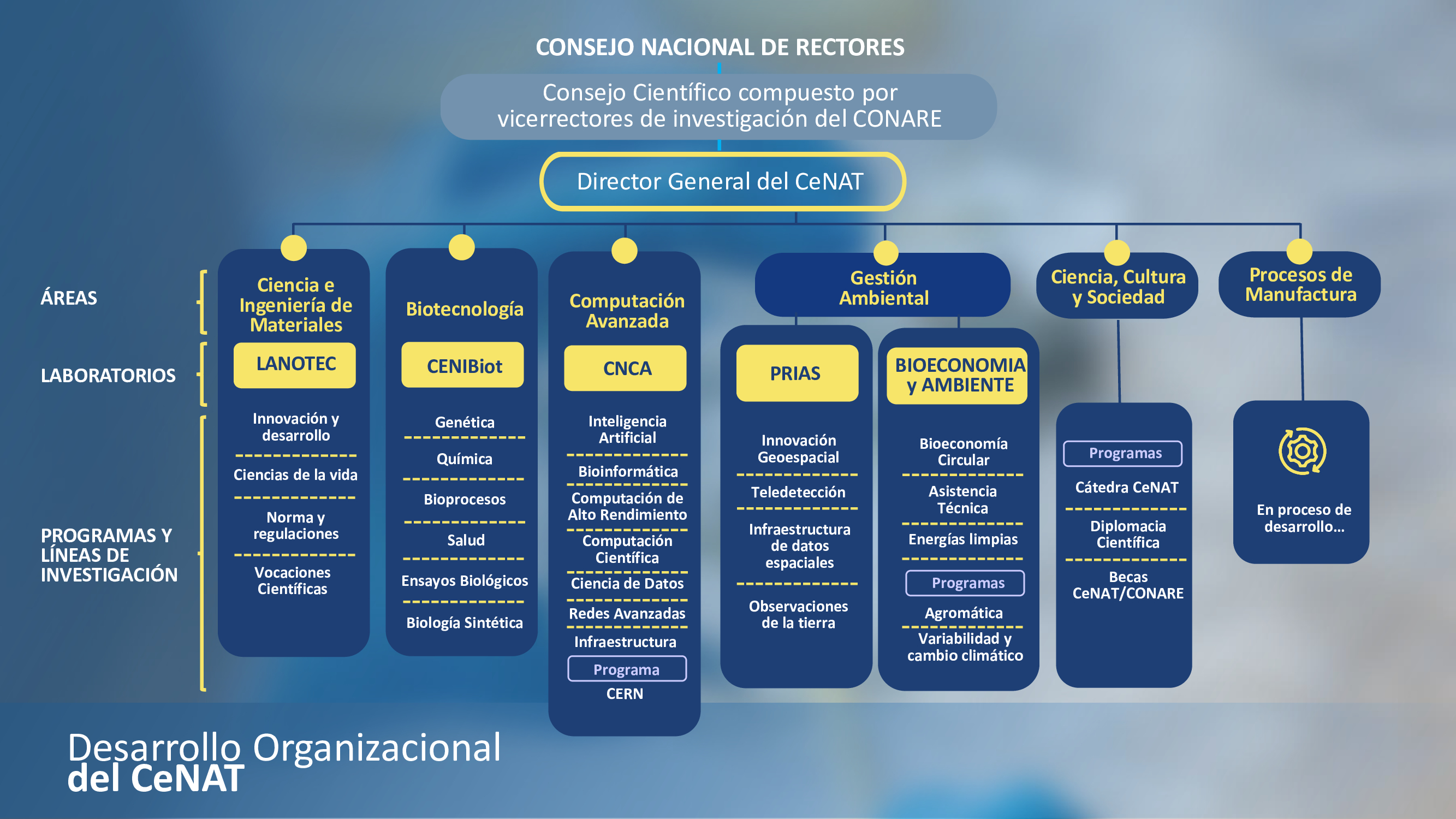 Estructura organizacional del CeNAT