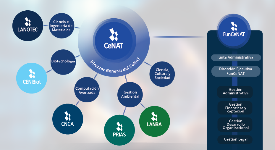 Estructura organizacional de la FunCeNAT