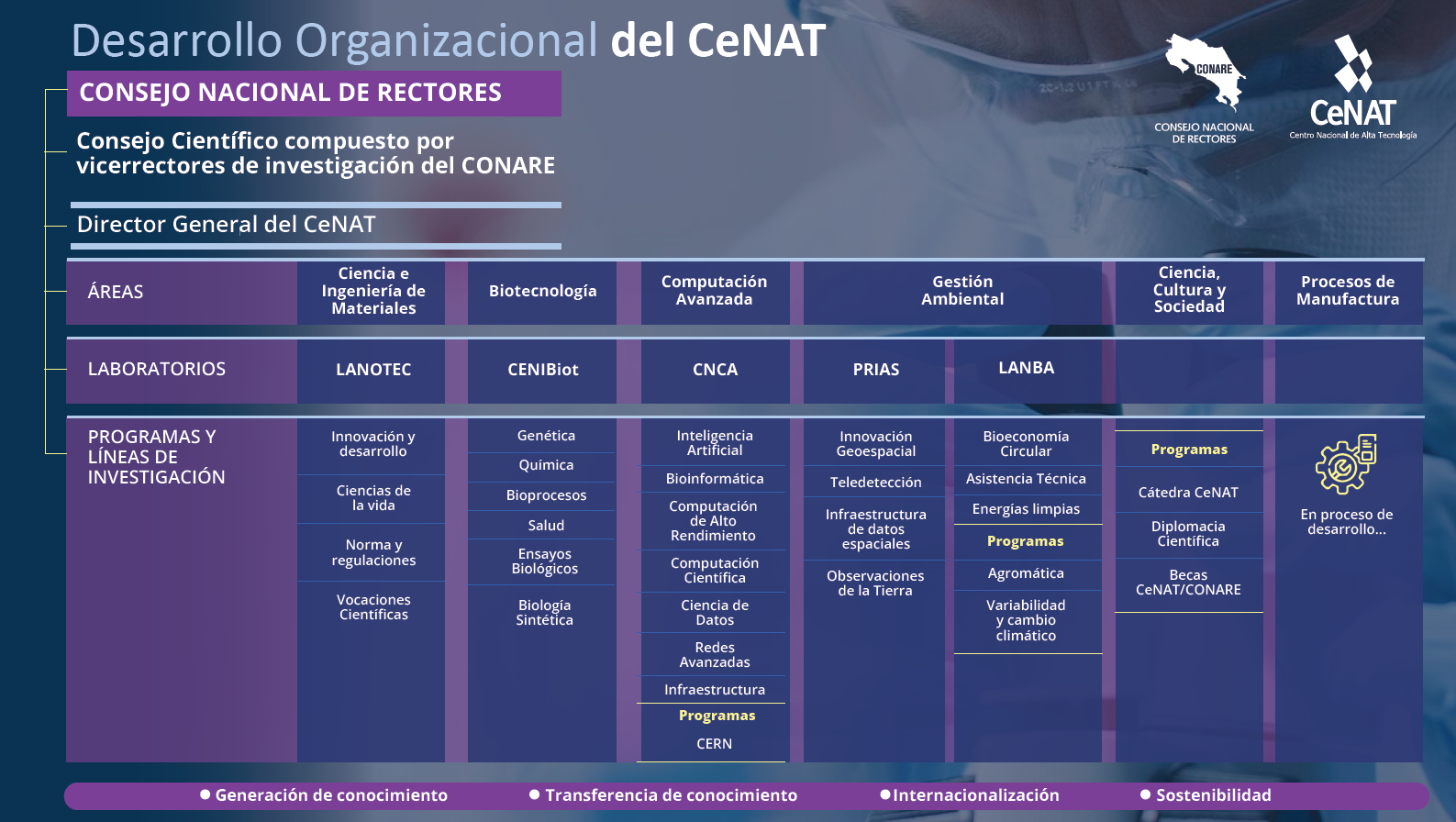 Desarrollo Organizacional del CeNAT